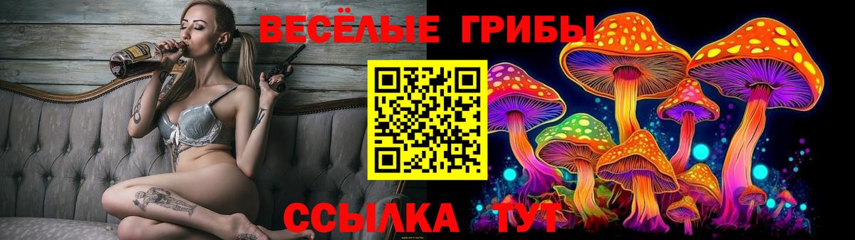Псилоцибиновые грибы мицелий Алатырь
